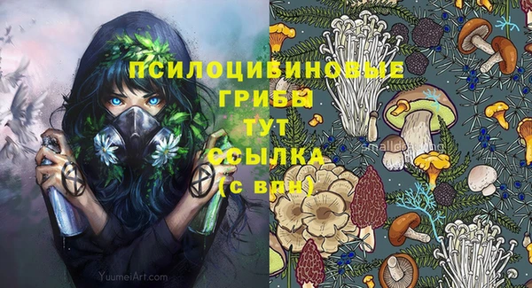 прущая мука Горняк
