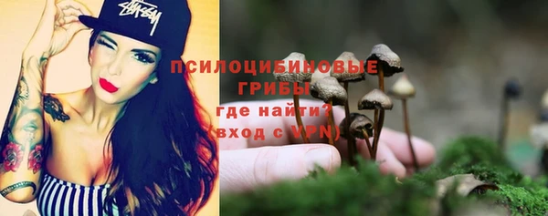 прущая мука Горняк