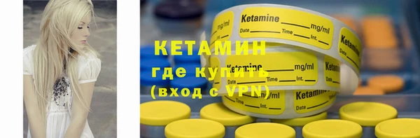 стафф Гусев