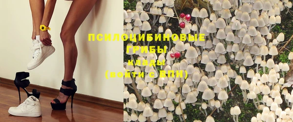 mdpv Гусиноозёрск